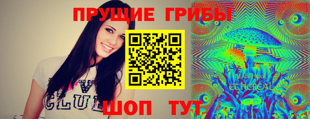 Ковров  Псилоцибиновые грибы Cubensis  Вход с VPN  Галлюциногенные грибы Magic Shrooms 